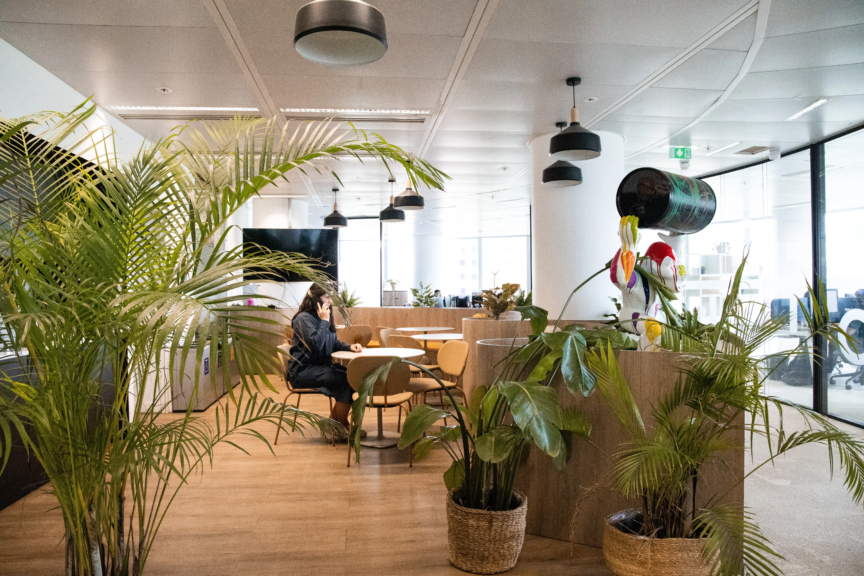 Coins informels avec des plantes intégrés dans l’espace de travail, créant un environnement chaleureux et naturel conçu par ARCH.DESIGN